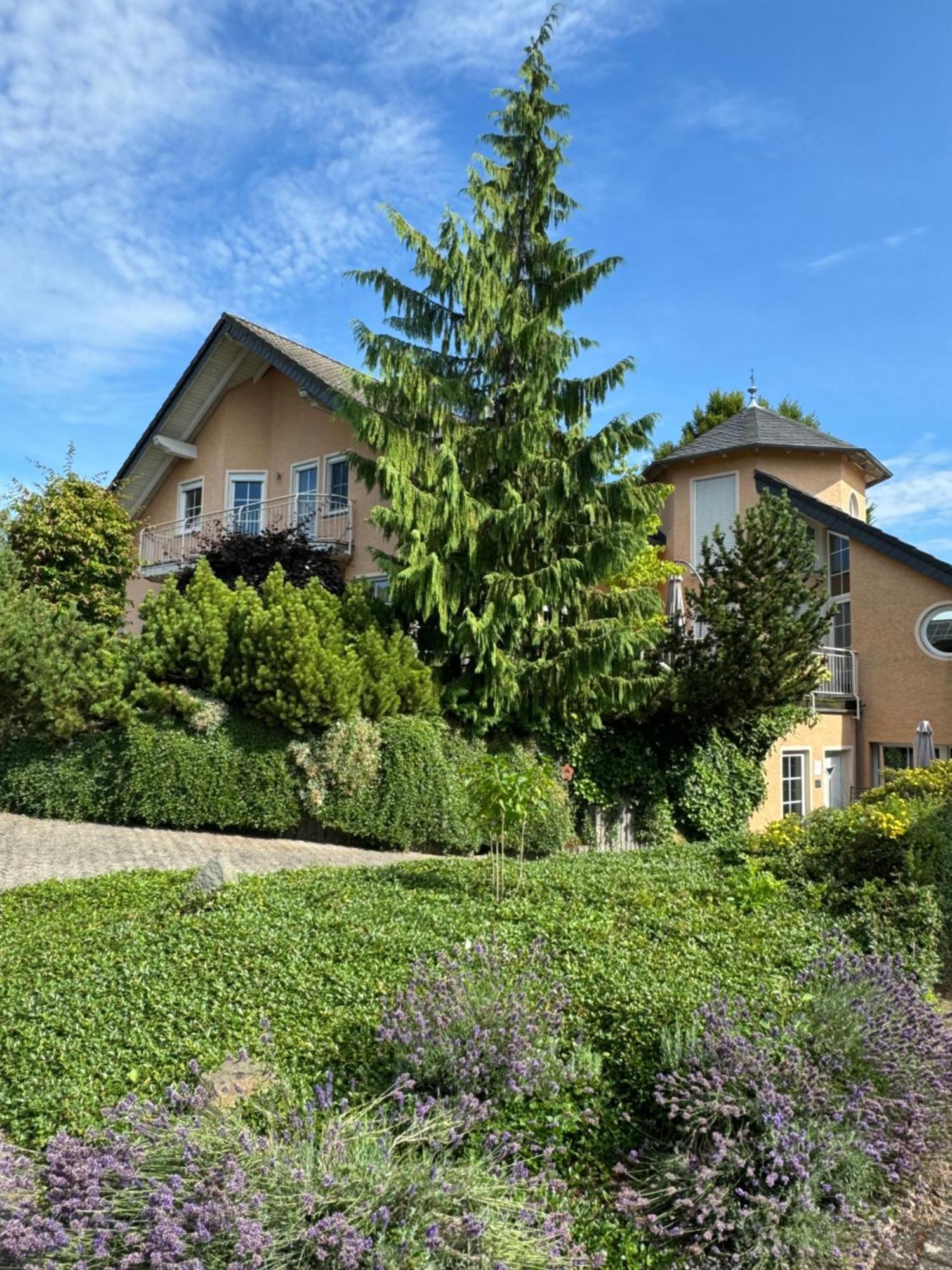 Ferienwohnung Feiden Eifel-Mosel Lounge Greimersburg Eksteriør bilde